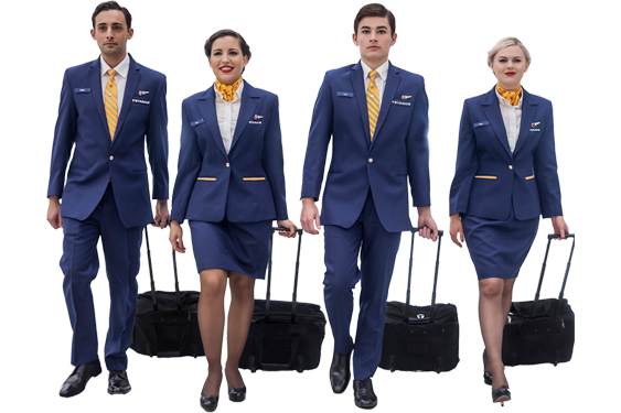 What are the advantages of working as cabin crew?